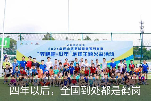 四年以后，全国到处都是鹤岗