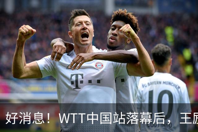 好消息！WTT中国站落幕后，王励勤释放关键信号，樊振东或能回归
