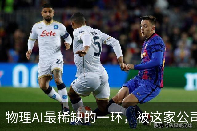 物理AI最稀缺的一环，被这家公司押中