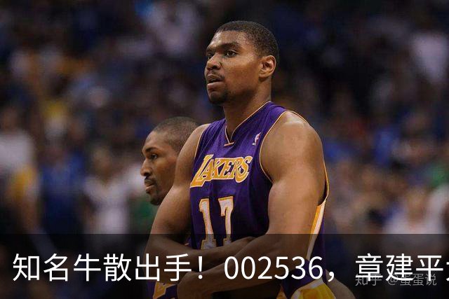 知名牛散出手！002536，章建平大举买入