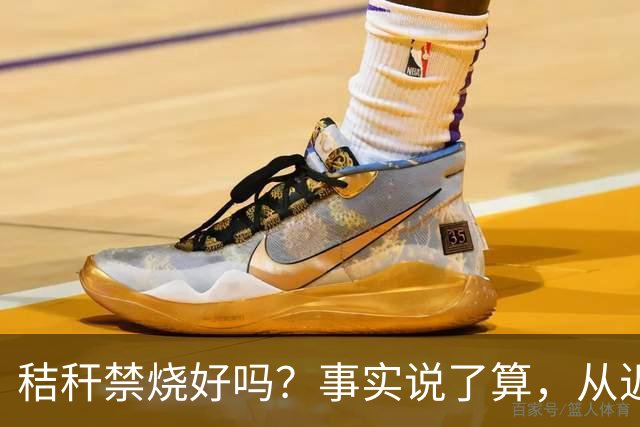 秸秆禁烧好吗？事实说了算，从近年蚯蚓鸟类和蛇类数量就可看出来