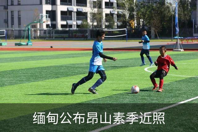 缅甸公布昂山素季近照