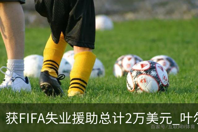 获FIFA失业援助总计2万美元 叶尔杰提成中国球员第一人