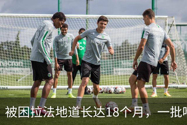 被困拉法地道长达18个月，一批哈马斯武装人员传出死讯