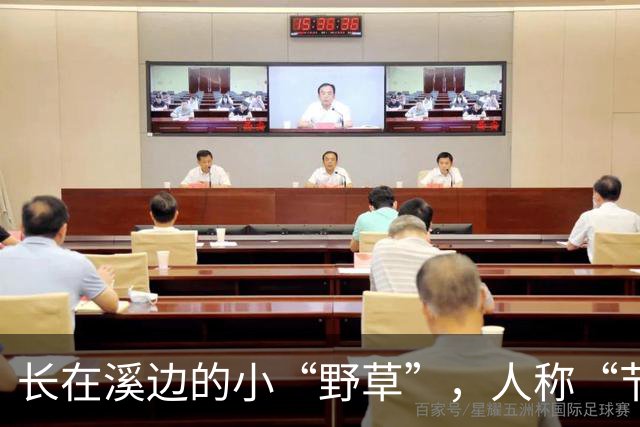 长在溪边的小“野草”，人称“节节草”，农民拔了扔，现20元一盆