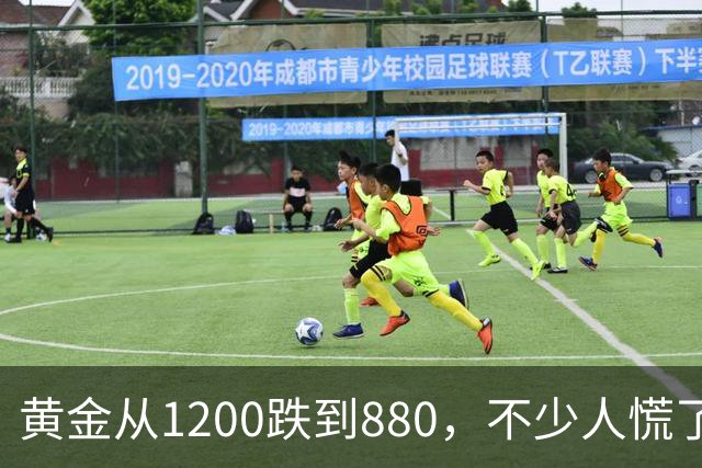 黄金从1200跌到880，不少人慌了！如果跌到500，你还敢买吗？