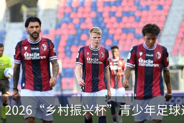 2026“乡村振兴杯”青少年足球邀请赛圆满落幕