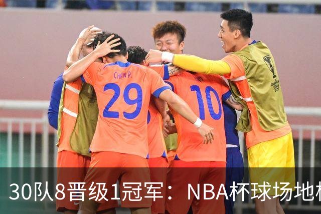 30队8晋级1冠军：NBA杯球场地板公布，猛龙主场竟是灰色